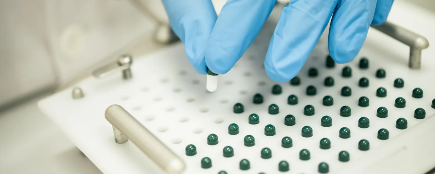 This image captures a pharmacist carefully placing compounded medication into a tray, showcasing precision and attention to detail in pharmaceutical preparation.