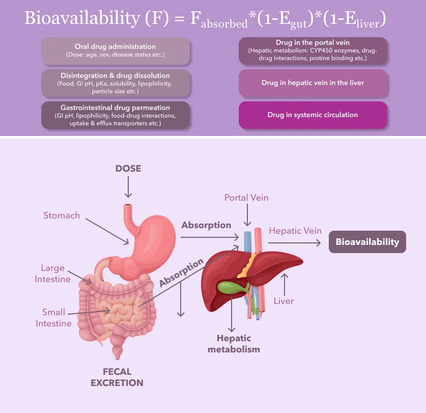 Bioavailability (F) - F absorbed - infographic