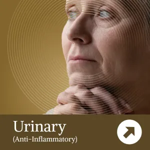 Preview our Ani-inflammatory Urinary